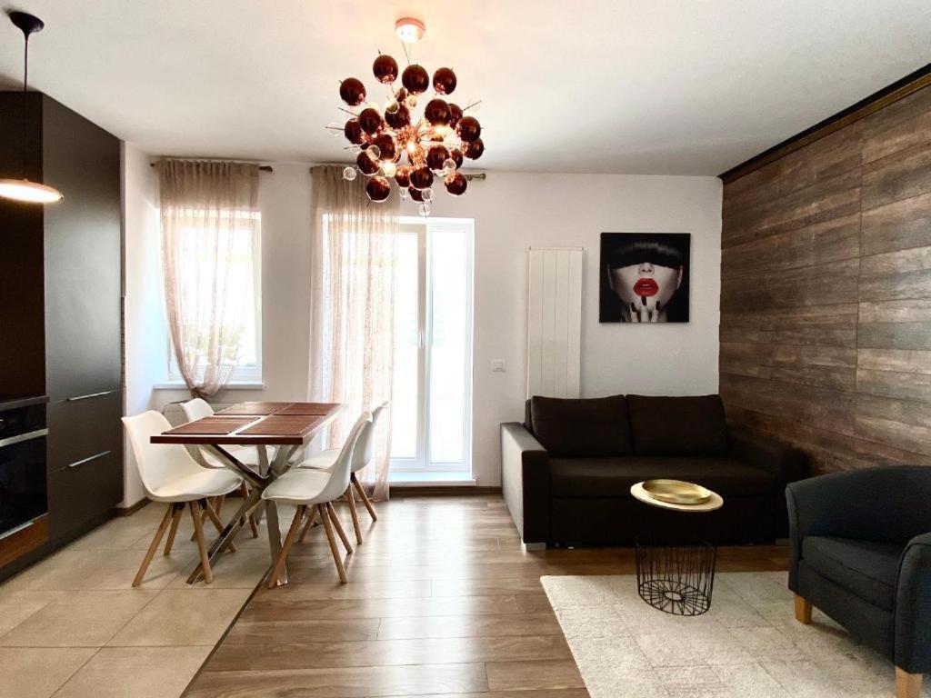 Barbeque Home Apartment Брашов Экстерьер фото
